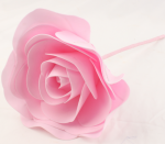 EVA FLOWER-11P