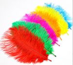 FEATHER
