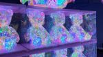 PLASTIC CLEAR BEAR WEDDING DECOR WITH LED LIGHTS