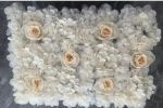 HP0588-3CREAM